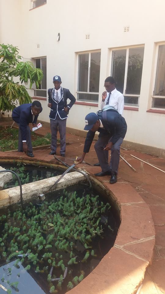 2016_2017_prefects_cleanup