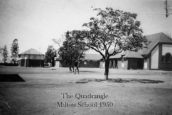 quadrangle_1950_bl