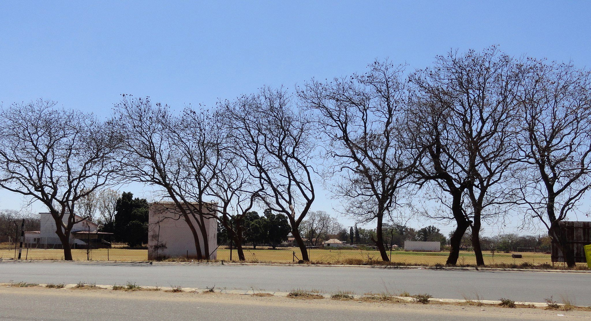 cricket_ground_squash_court_1st_team