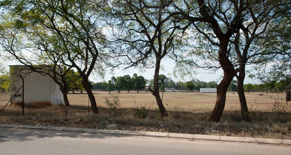 cricket_screen_sports_fields