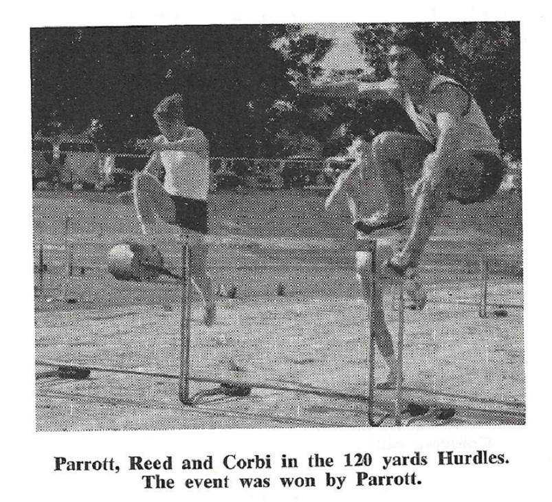 1963_athletics_hurdles_parrot_corbi